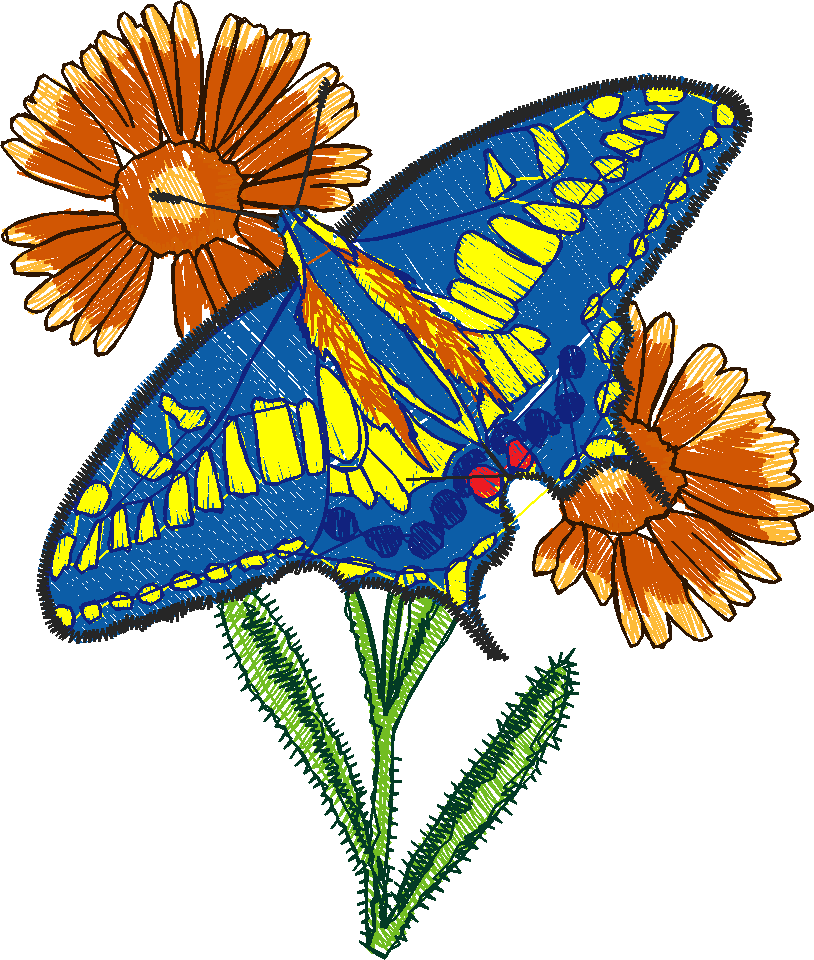 Butterflies 24 (19)