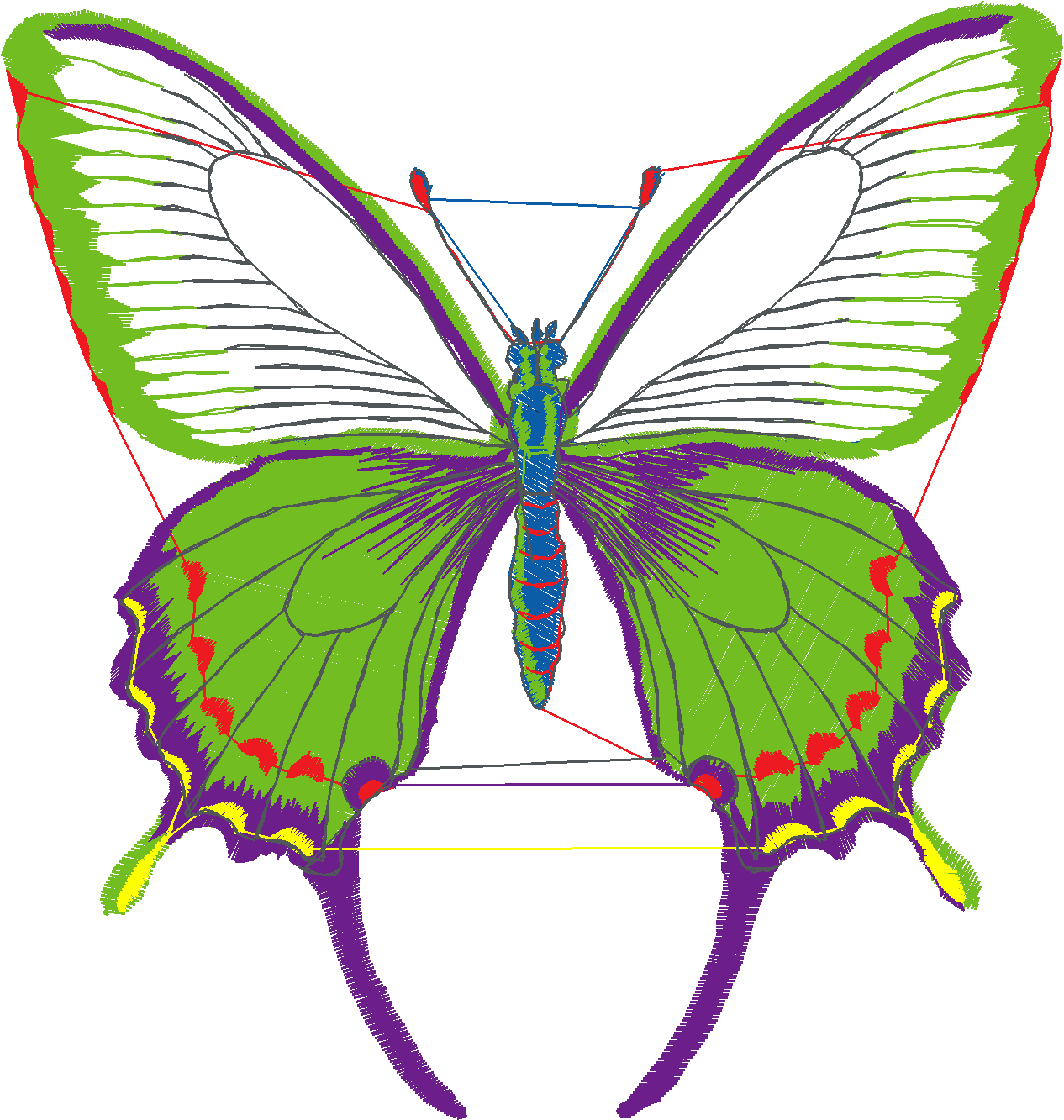Butterflies 24 (3)