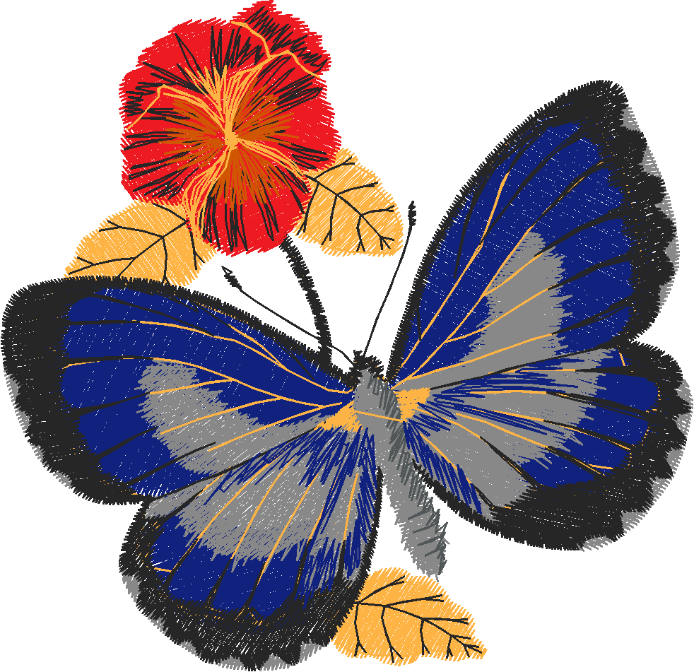 Butterflies 24 (39)