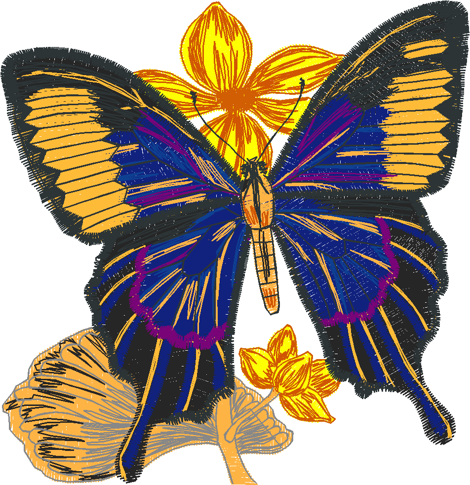 Butterflies 24 (41)