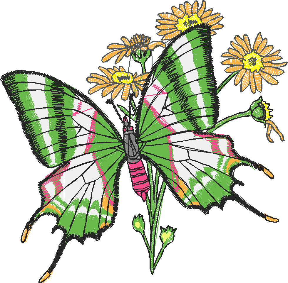 Butterflies 24 (8)