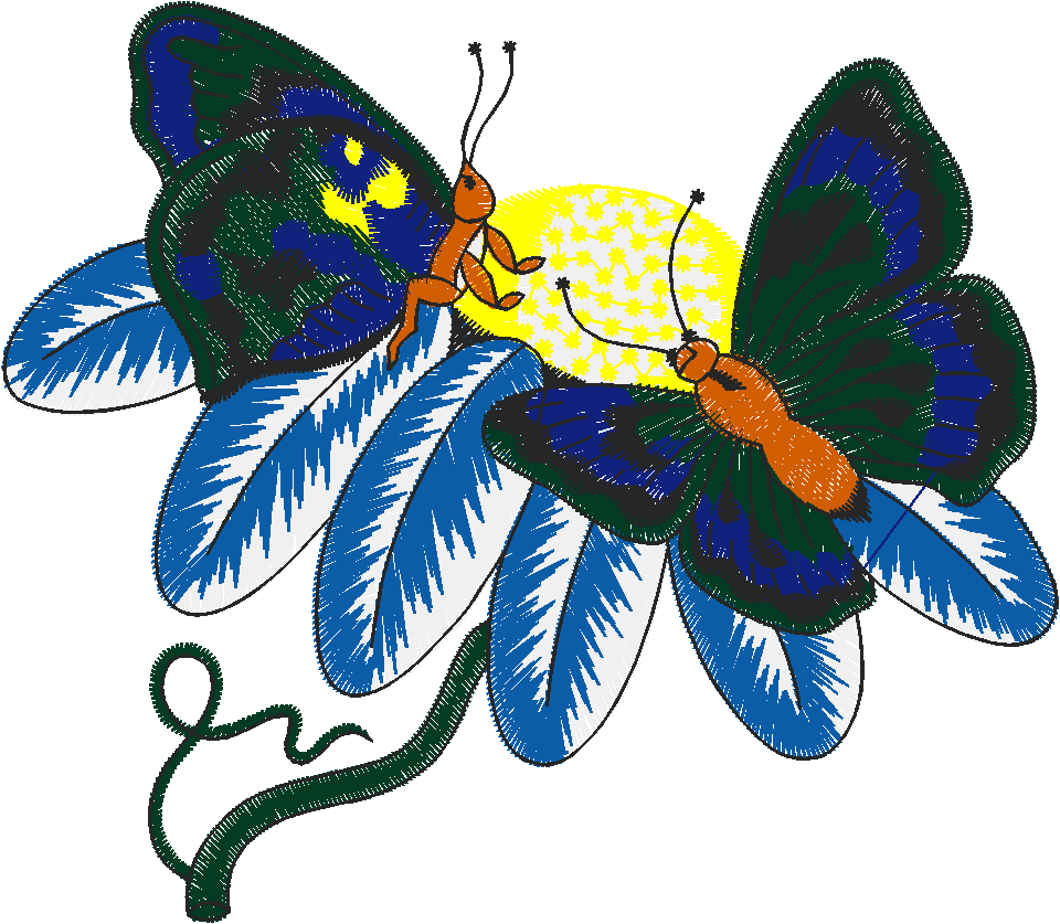 Butterflies 26 (1)