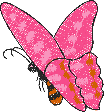 Butterflies 26 (12)
