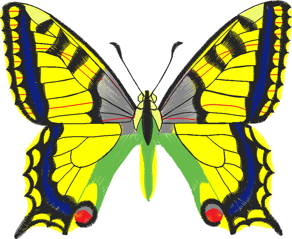 Butterflies 26 (42)