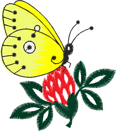 Butterflies 27 (11)