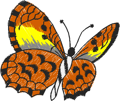 Butterflies 27 (13)