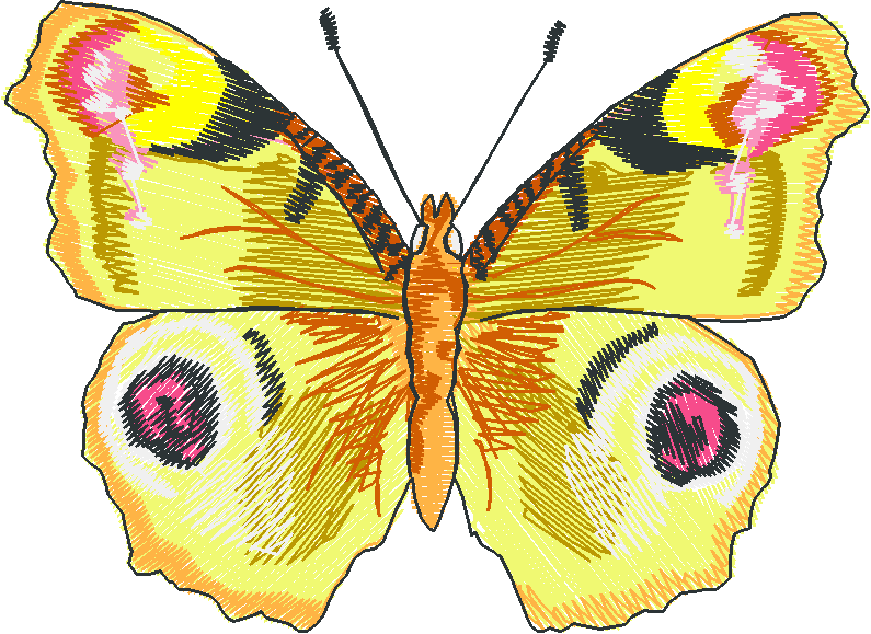 Butterflies 28 (13)