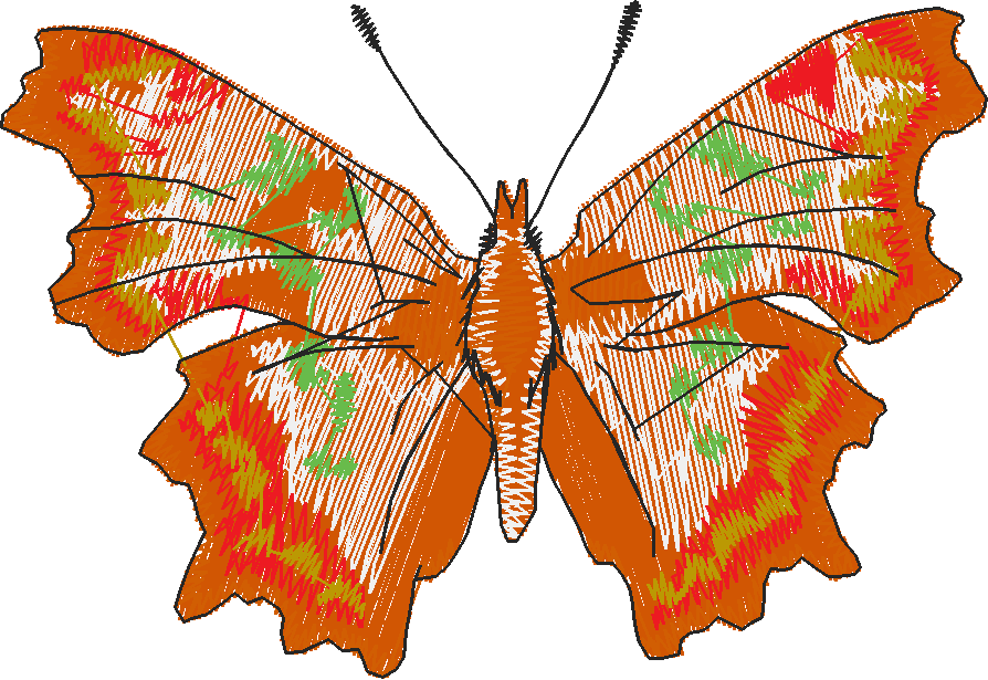 Butterflies 28 (21)