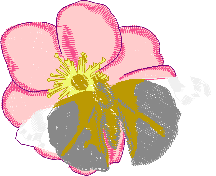 Butterflies 28 (22)