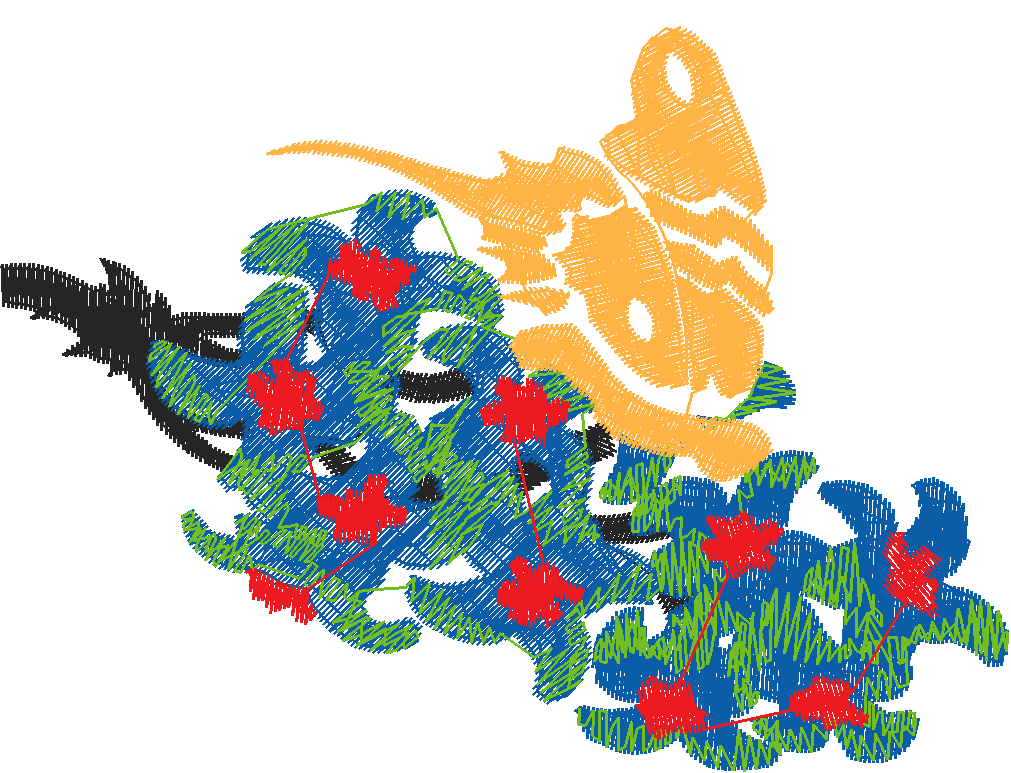 Butterflies 28 (25)