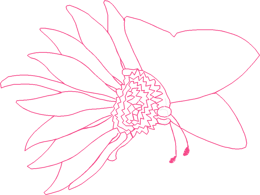Butterflies 28 (40)
