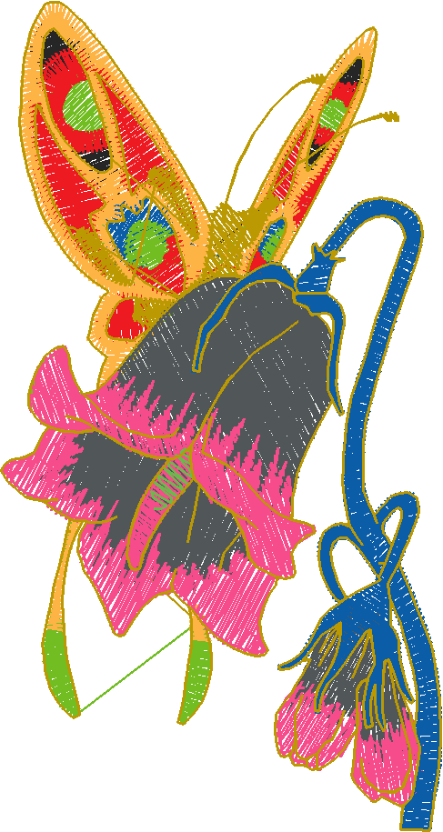 Butterflies 28 (42)