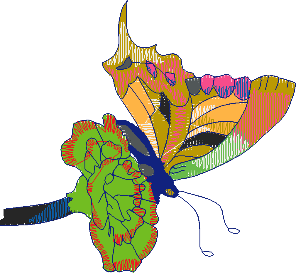 Butterflies 28 (48)