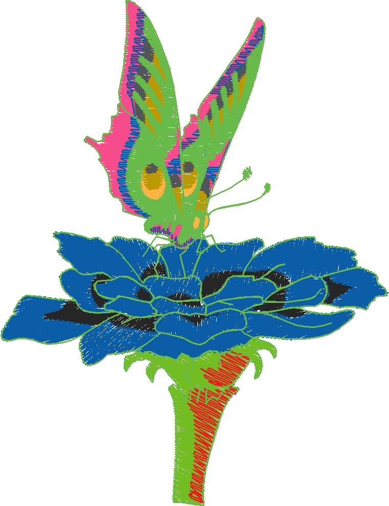 Butterflies 29 (1)