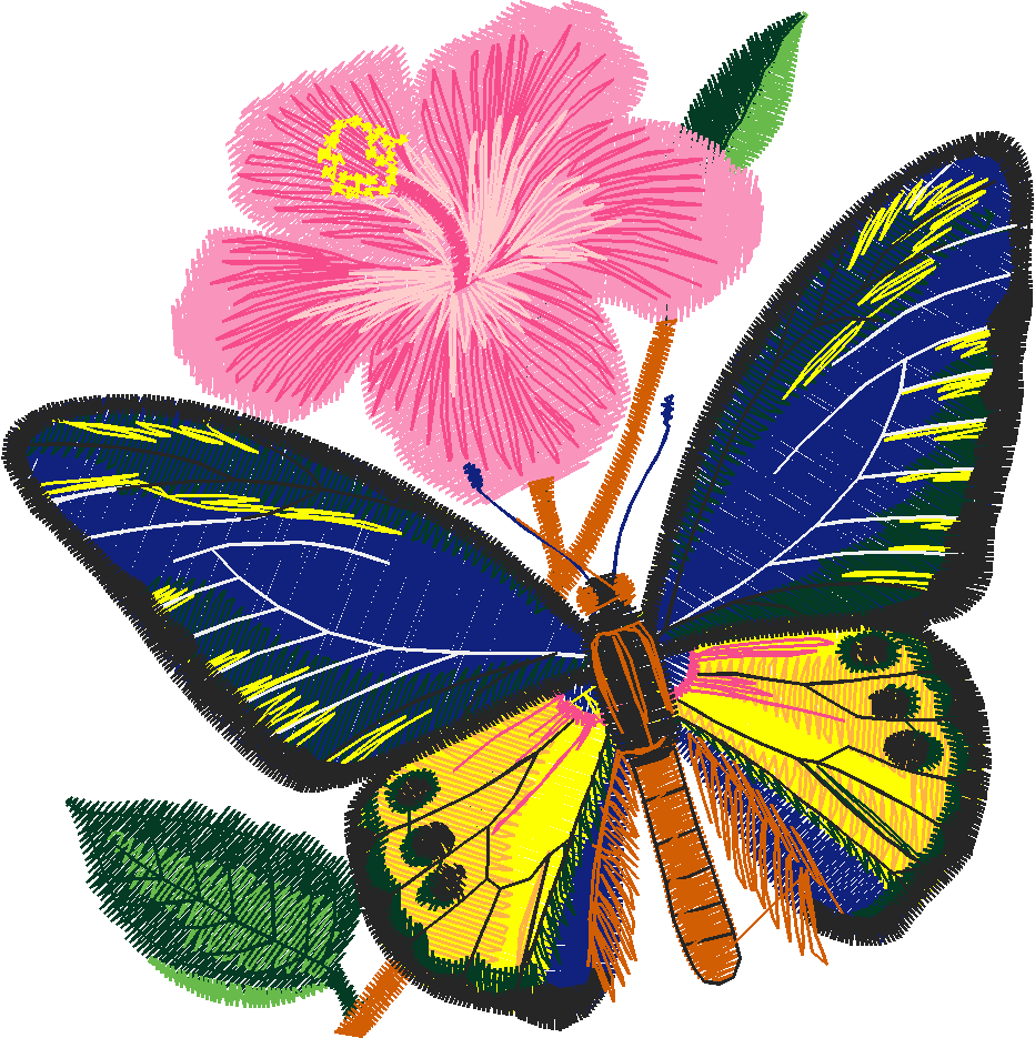 Butterflies 29 (17)