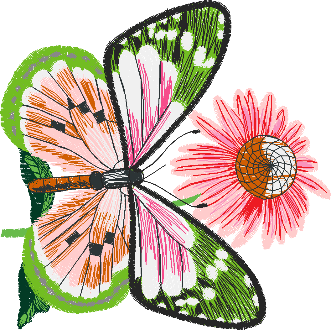 Butterflies 29 (20)