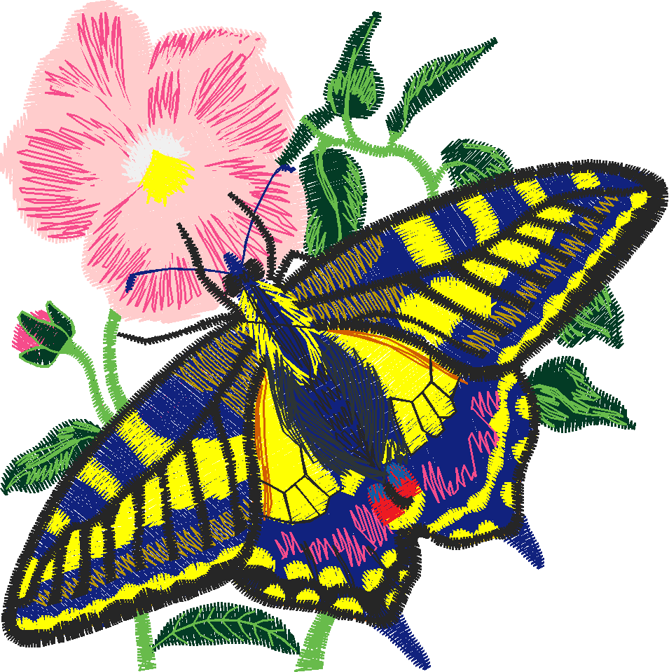Butterflies 29 (21)