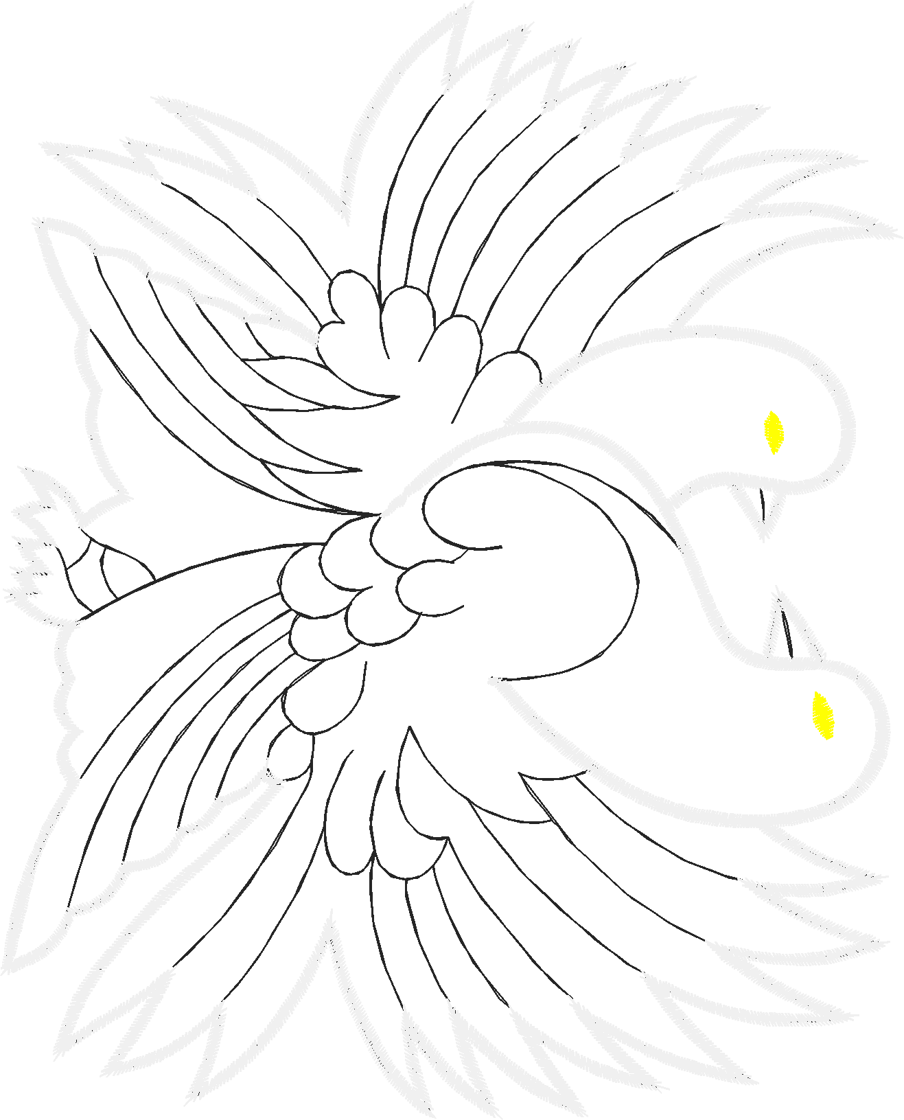 Butterflies 29 (28)