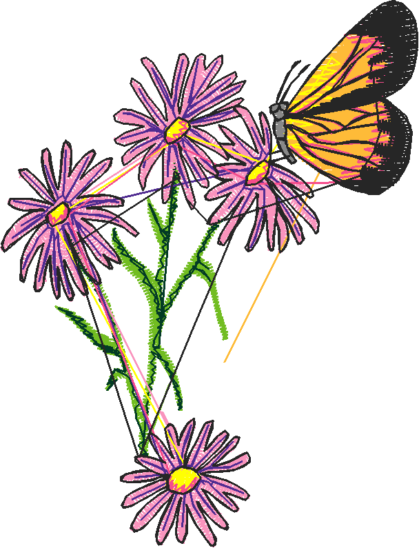 Butterflies 3  (17)