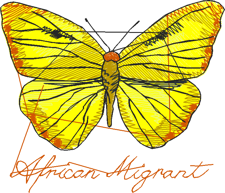 Butterflies 3  (4)