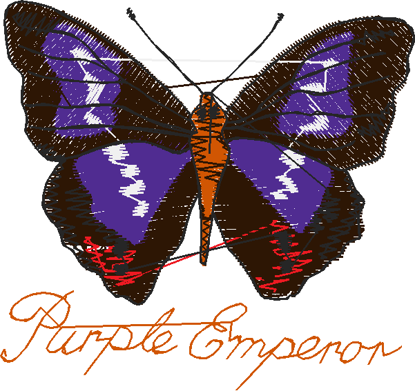 Butterflies 3  (5)