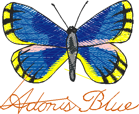 Butterflies 3  (6)