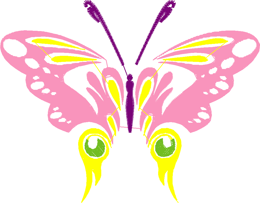Butterflies 33  (3)