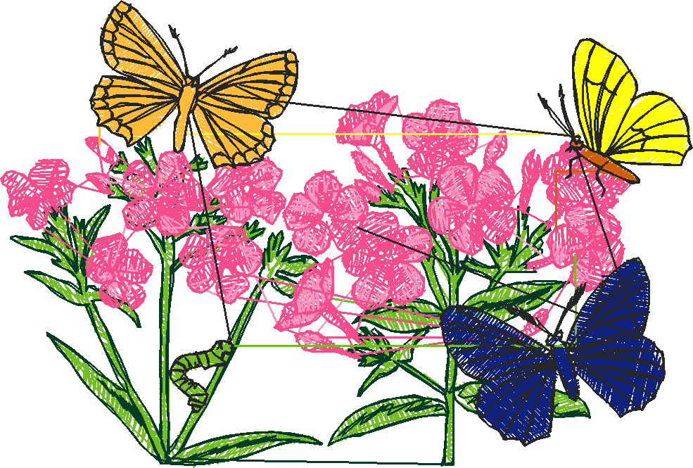 Butterflies 6  (6)
