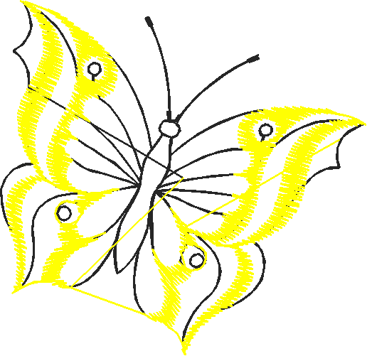 Butterflies 9  (19)