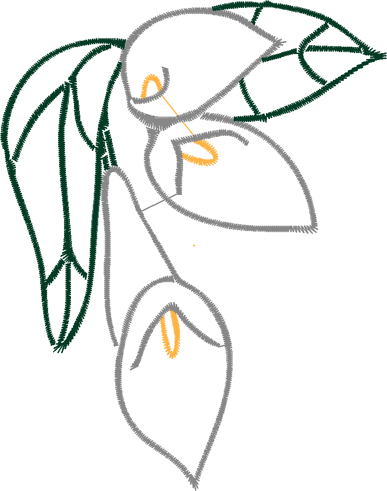 Cala Lillies 1  (8)