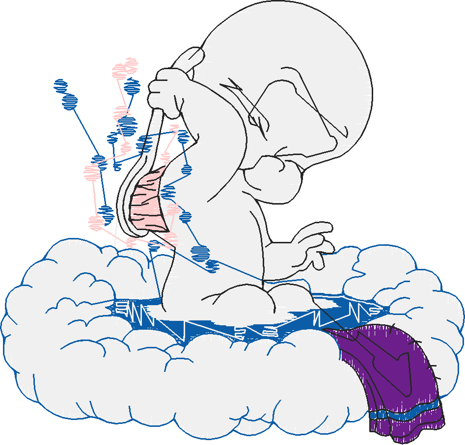 Casper 4