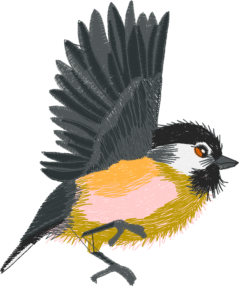 Chickadees 1 (8)