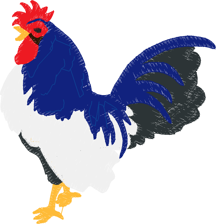 Chickens 2 (27)