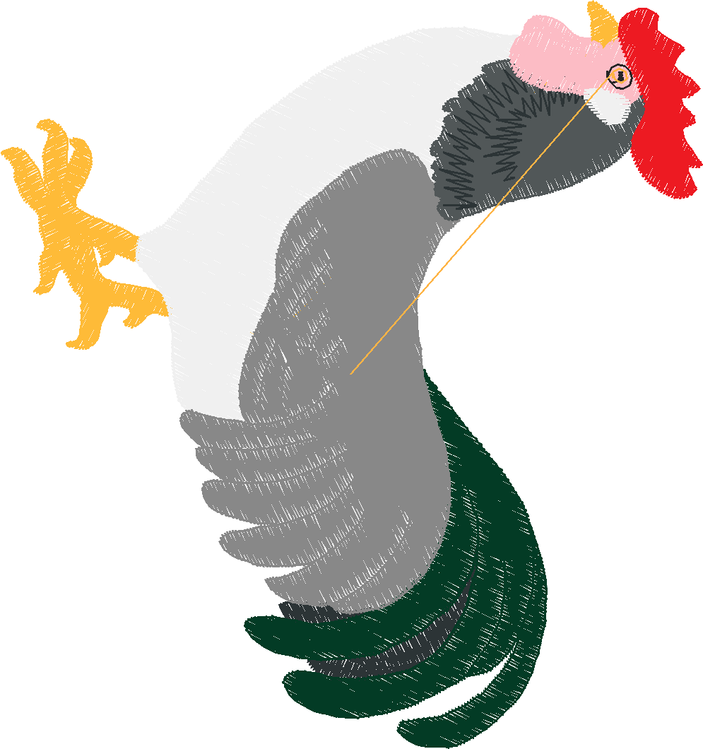 Chickens 2 (47)