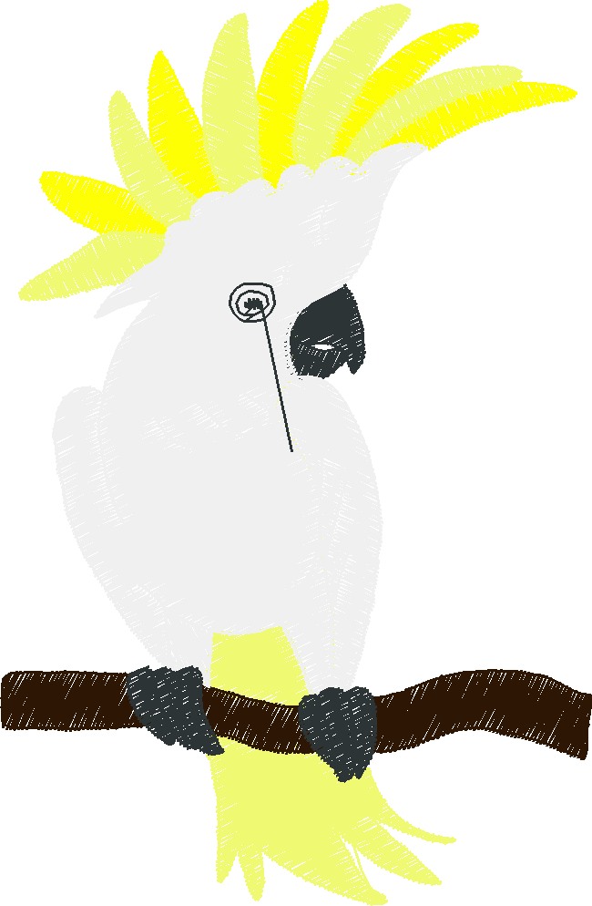 Chickens 2 (50)