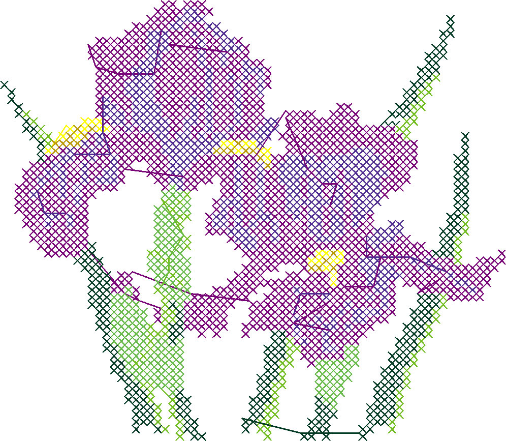 Iris