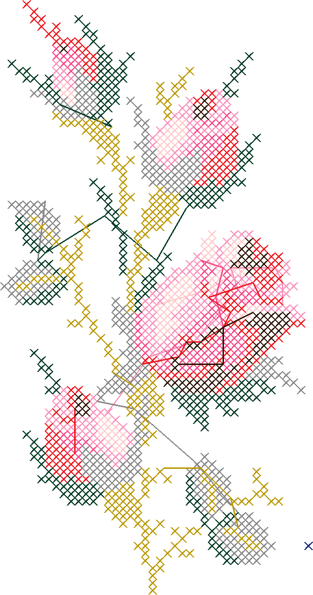 Rosebrd1