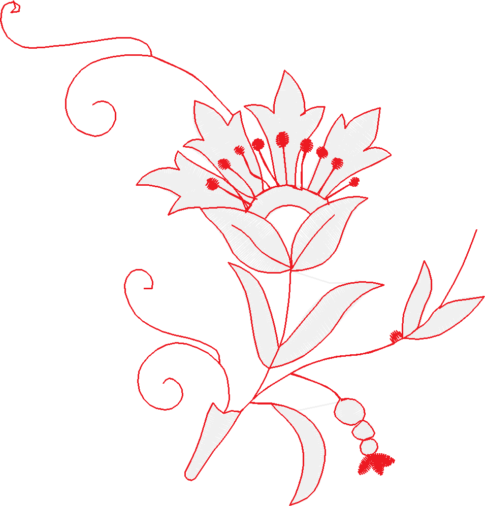 Bernina006