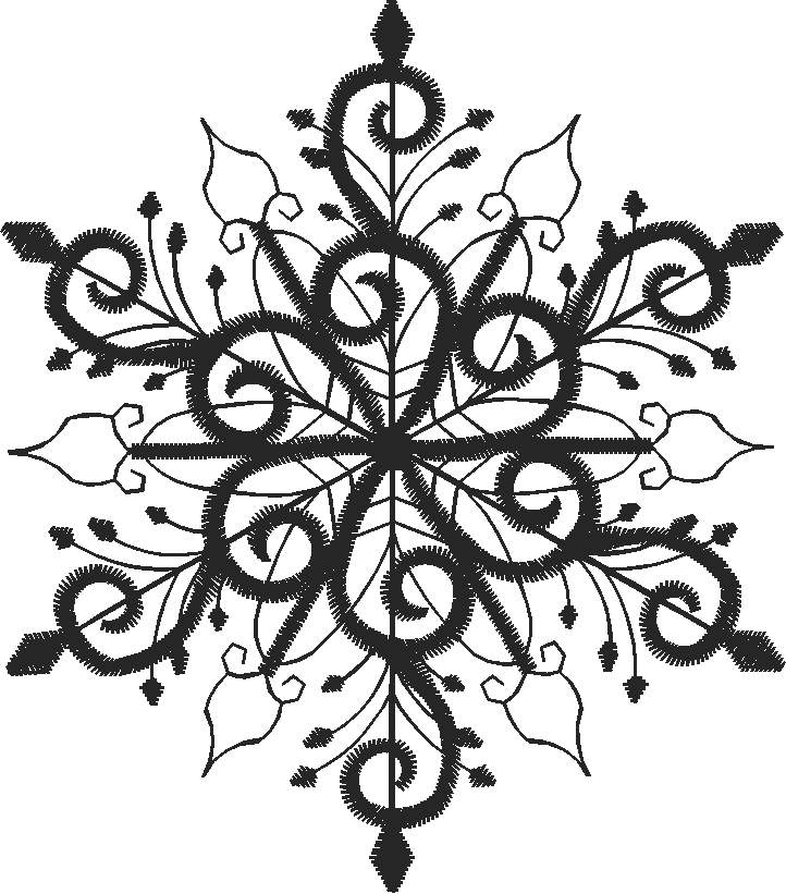 Cswse223