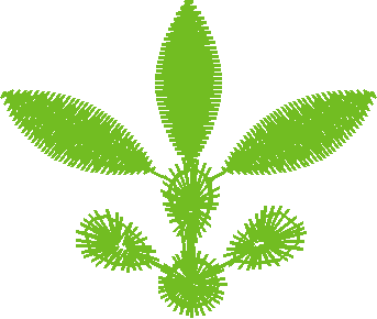 Flower4