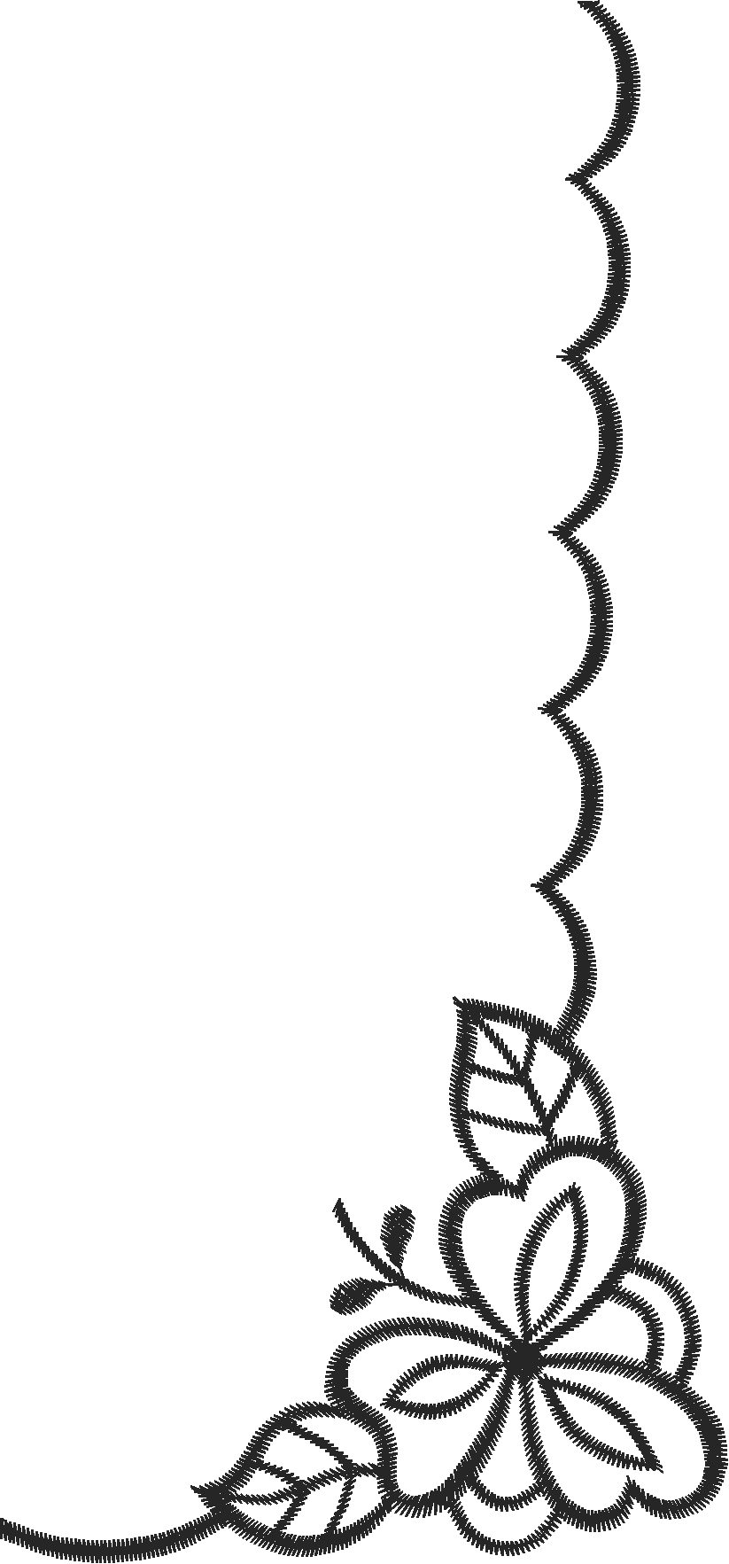 Qhl04982