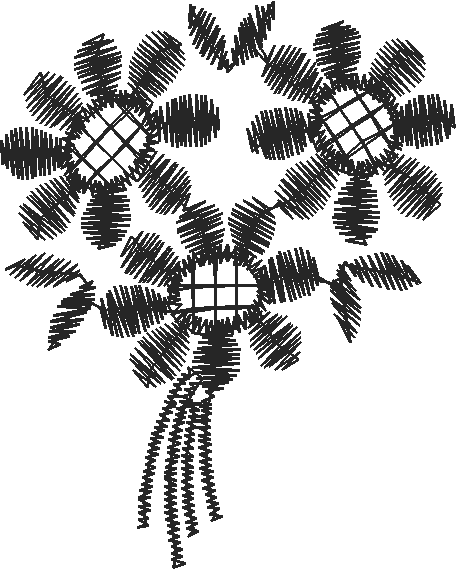 Qhl05033