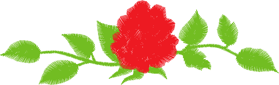 Rose A13