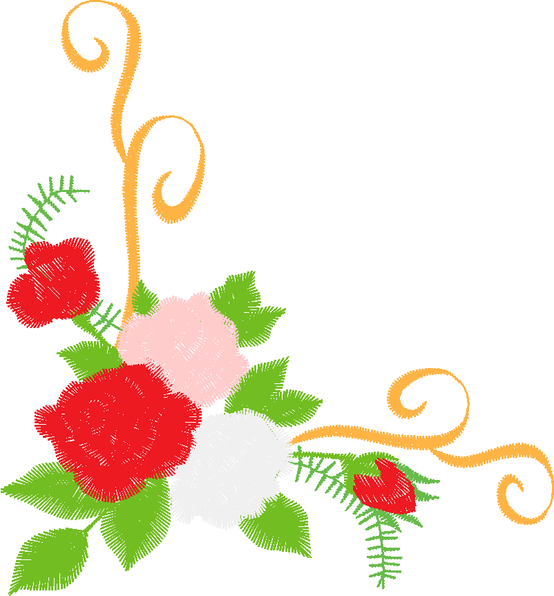 Rose A19