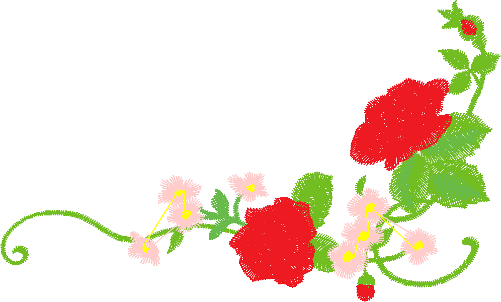 Rose A21
