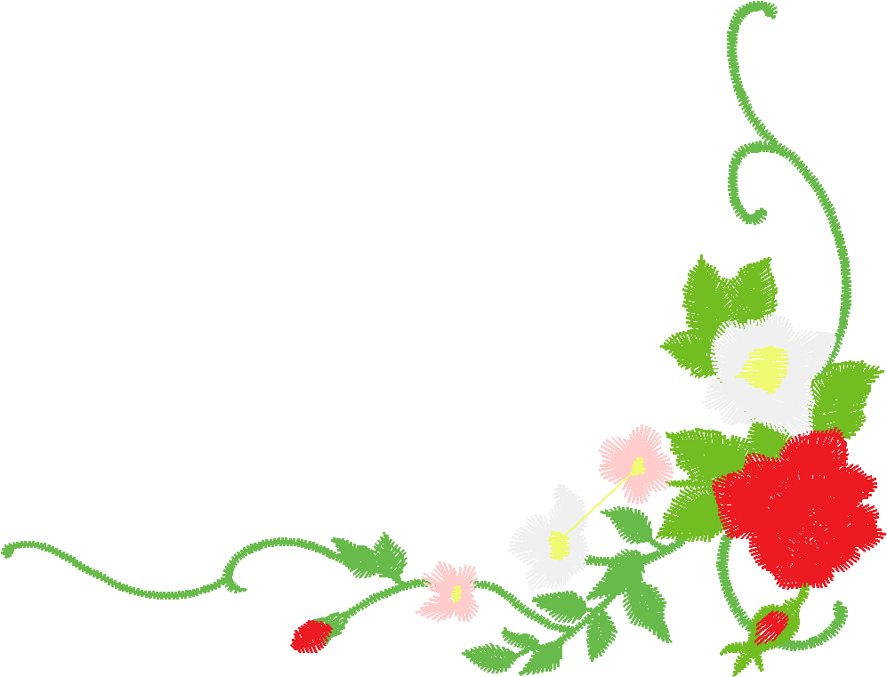 Rose A22