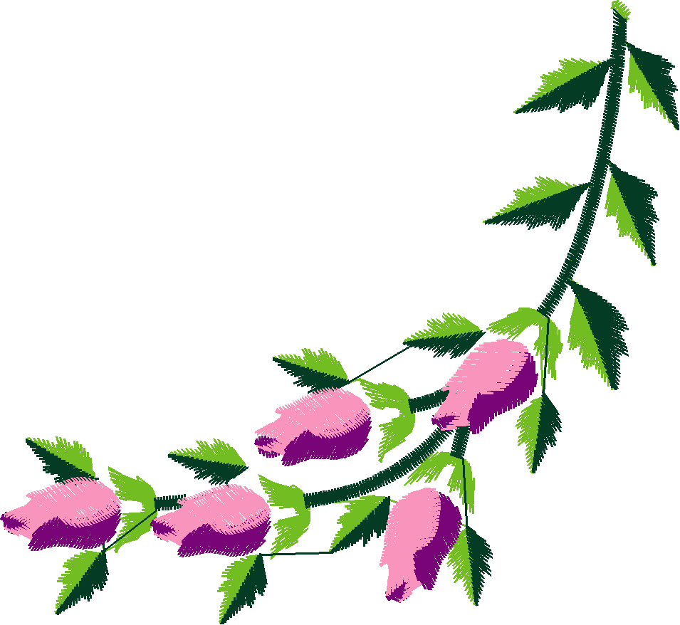 Rosecrv1