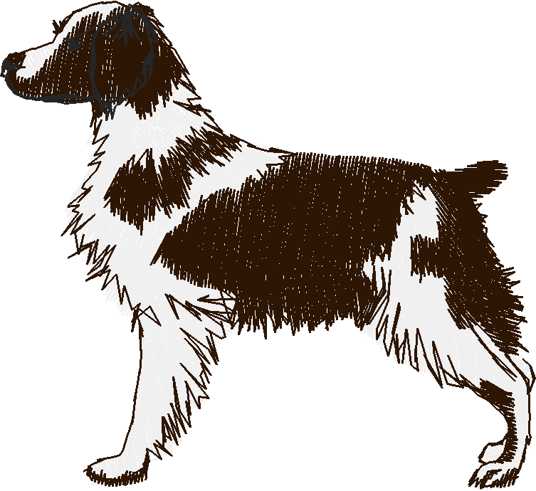 Dogs 1  (19)