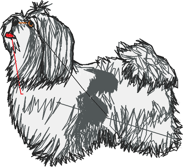 Dogs 1  (27)