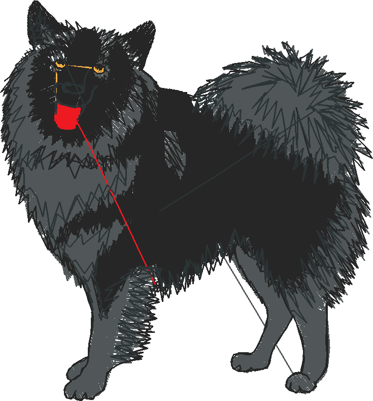 Dogs 1  (28)